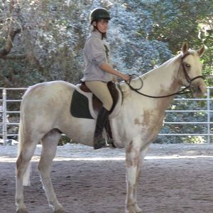 Meet your Posher, Katelyn